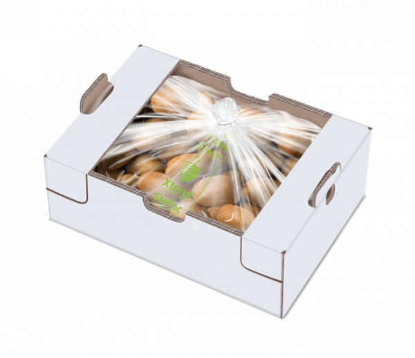 Caja de bolsas de kiwi 10Kg