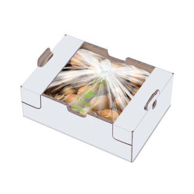 Caja de bolsas de kiwi 10Kg